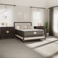 Quiet Night Duo Mattress