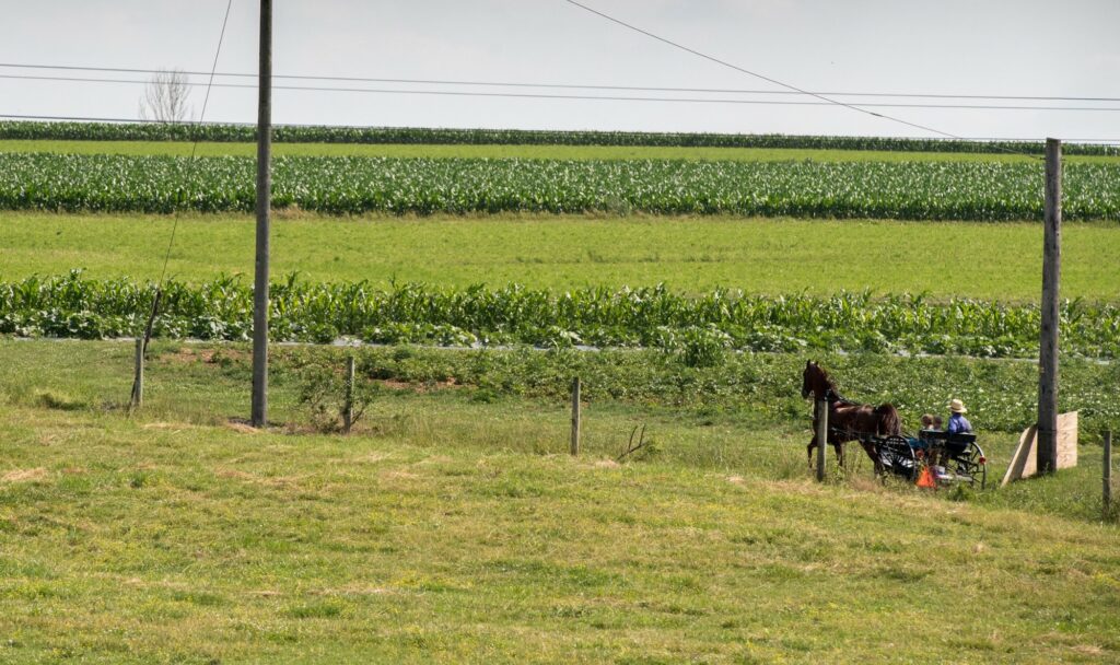 Amish riding in Amish countryside. Things to do in Lancaster, PA