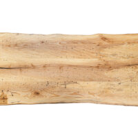 Live Wormy Ash Slab - Image 3