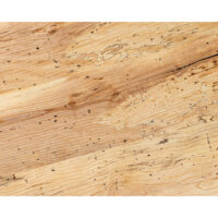 Live Wormy Ash Slab - Image 2