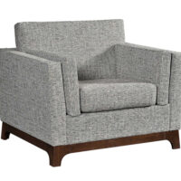 Fusion Sleeper Chair