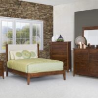 Tucson Collection - Image 3